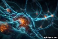 Protein Filaments That Form Brain Inhibitory Synapses Identified