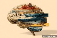 Start Dementia Prevention in Childhood, Not Midlife