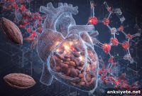 New Study Shows Cocoa Flavanols Reduce Inflammation