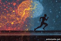 High-Intensity Workouts Could Lower Cocaine Addiction Risk