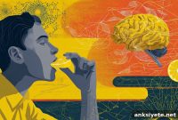 AI Reveals Bitter Taste Receptors’ Role in Gut-Brain Axis
