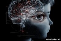 Brain Scans Show How Bullying Triggers Immediate Anxiety