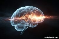 Brain Study Finds Attention Works Like a Zoom Lens