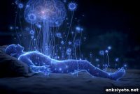 Gut Microbiome Could Explain Why We Sleep
