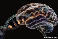 DNA Reveals Early Risk Markers for Autism and Schizophrenia