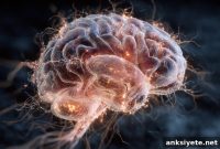 How Prozac Could Rewire the Brain’s Rigid Neural Circuits