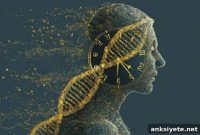 How Lifelong Social Bonds Slow Cellular Aging