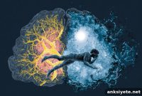 Sleep Disturbances Predict Parkinson’s and Dementia Years Before