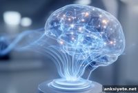 Noninvasive Focused Ultrasound Targets Multiple Brain Networks