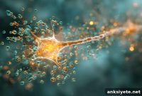 Neurons Use Fat for Energy: Discovery Could Reverse Brain Damage