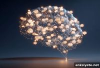 Could Social Inference Improve Schizophrenia Treatment
