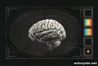 How Theta Waves Act Like Radar to Improve Visual Working Memory