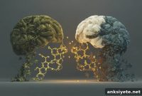Tobacco and Cannabis Disrupt Brain Anandamide System