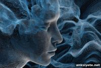 Hearing Voices Caused by Brain Misreading Inner Speech