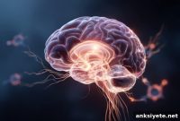 How Hunger Rewires Your Brain’s Emotional Priorities