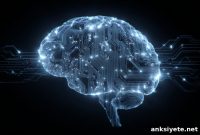 Why the Human Brain Is Wired for Coding