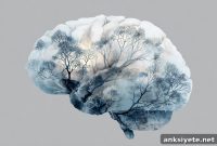 Common Antidepressant Eases Core Depression Symptoms in 2 Weeks