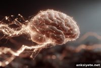 Brain Circuit That Keeps Memories Stable During Learning