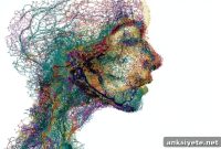 Brain Circuit Drives Sex Differences in Risk and Impulsivity