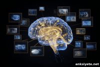 How Your Brain Predicts Viral Content Before You Do
