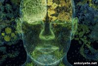 AI Maps Brain’s Hidden Bridge, Links Genes to Mental Illness