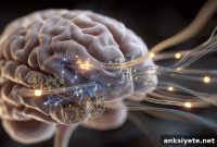 AI Brain Implant Advances Two-Way Artificial Vision