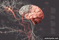 Why Your Brain Struggles to Switch Between Learned Motor Skills