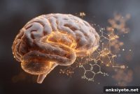 Could Low Choline Be Causing Your Anxiety?