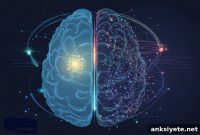 How AI Models Develop Theory of Mind