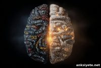 Multilingualism Could Slow Biological Aging