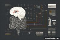 Study Finds No Link Between Gut Microbiome and Autism