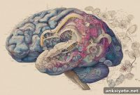 Genetic Markers of Depression Indicate Increased Suicide Risk