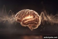 How Mounjaro Rewires Craving Circuits in the Brain