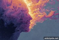 Study: Psychedelic Ego Death Linked to Drop in Alpha Waves