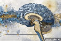 Single Brain ATP Circuit Drives Stress-Like Behaviors