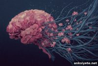 How Your Brain Rewires at Ages 9, 32, 66 and 83