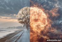 Why the Brain Finds Beautiful Images Effortless