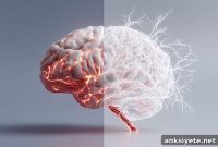 Obesity Linked to 95% Faster Rise in Alzheimer’s Biomarker