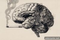 How Astrocytes Drive Brain Changes in Nicotine Addiction