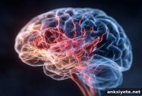 Nicotine Withdrawal Increases Pain Sensitivity in Smokers