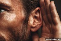 Why Blink Rate Drops During Effortful Listening