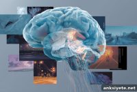 AI Brain Model Reveals How Fear Works in the Human Brain
