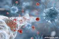Gut Microbes That Mimic Human Proteins May Trigger MS