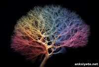 AI Brain Model Reveals How Neurons Learn and Where They Fail