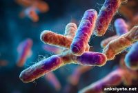 Is the Oral Microbiome Linked to Multiple Sclerosis?