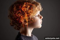 Missing Brain Receptor May Explain Autism