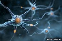 Immune Signal Ratio Could Predict Multiple Sclerosis Progression