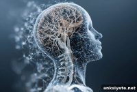Neural Afterburn: How the Brain Rewires to Improve Endurance