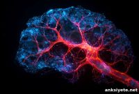 Study Finds Hidden Metabolic Shift in Parkinson’s Disease