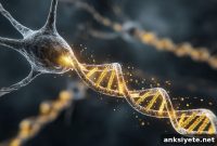 Neural Reprogramming Reverses Memory Decline in Aging Brains